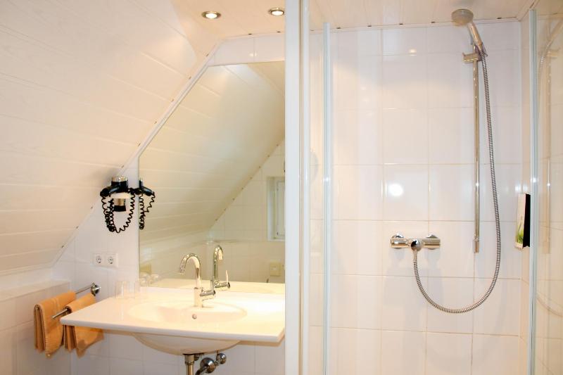 Standard Single Room image 1