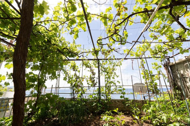 Double Room with Sea View image 4