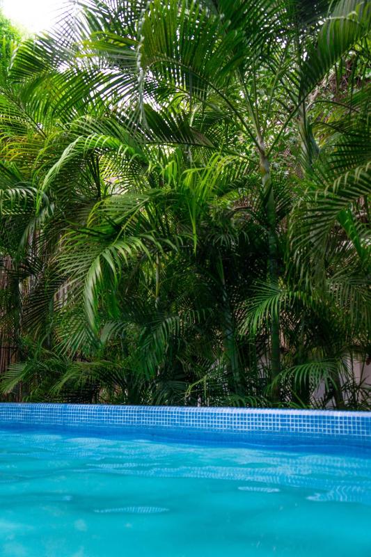MAUI HOSTELS TULUM - image 34