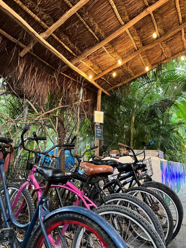MAUI HOSTELS TULUM - image 24