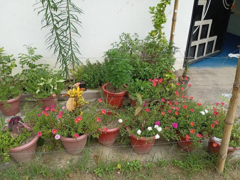 Atithi Home stay - image 21