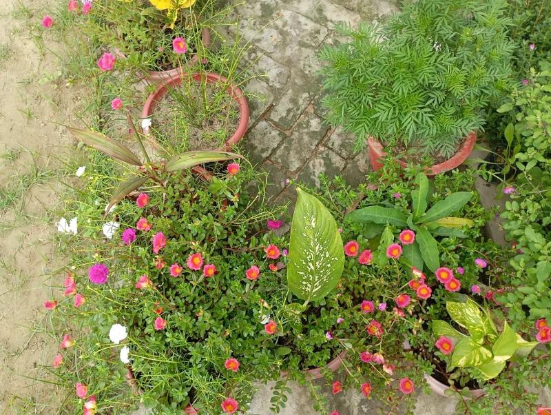 Atithi Home stay - image 22