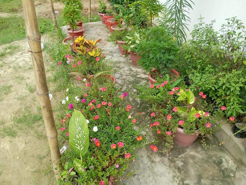 Atithi Home stay - image 20