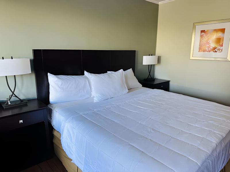 King Room image 3