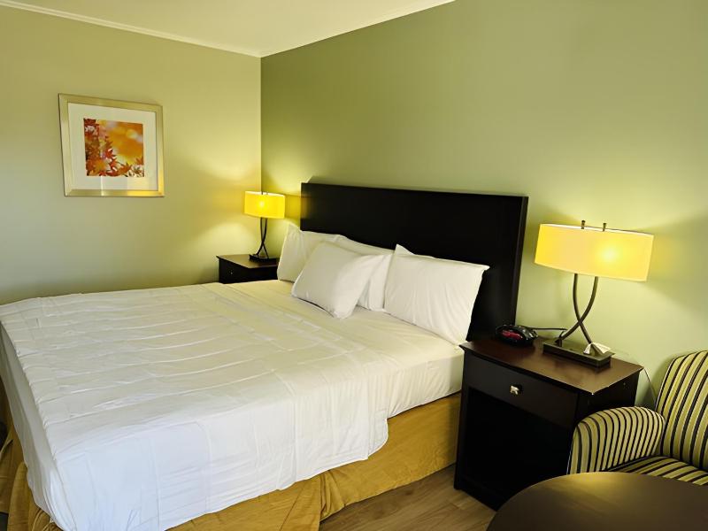 King Room image 4