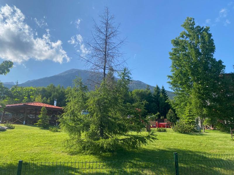 Deluxe Three-Bedroom Apartment image 2