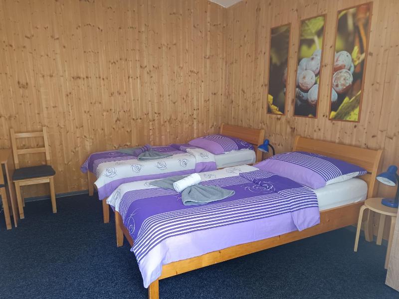 Standard Twin Room image 3