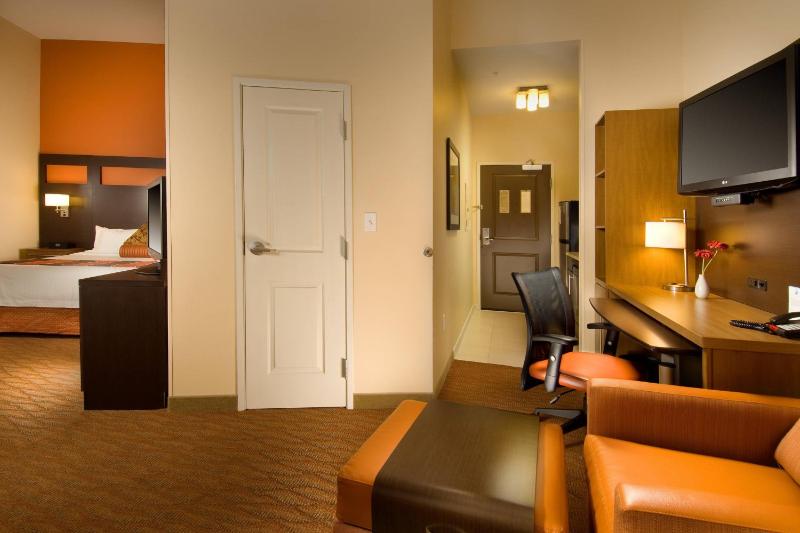 King Studio with Sofa Bed and Roll-in Shower - Mobility and Hearing Accessible image 4