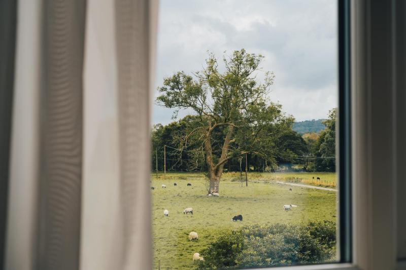 Superior Double or Twin Room with View image 1