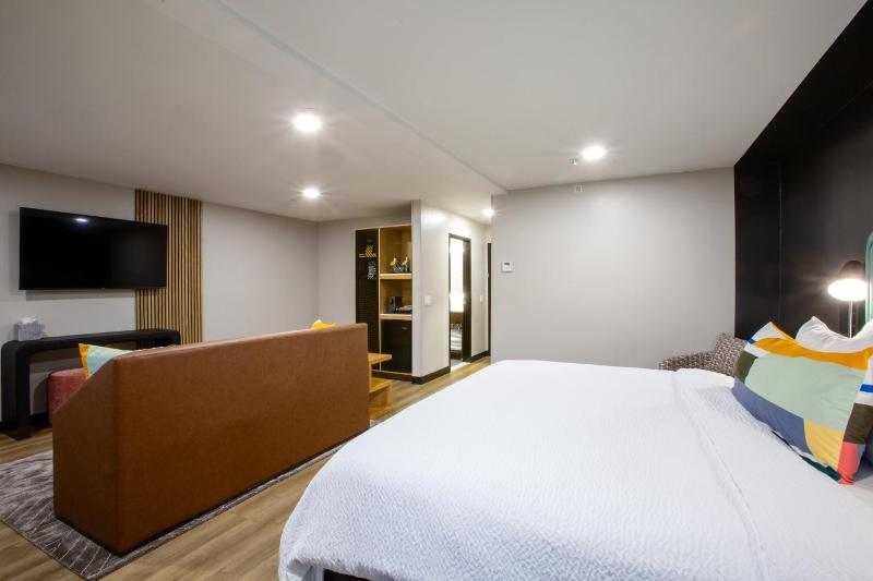 King Suite with Bath and Shower image 4