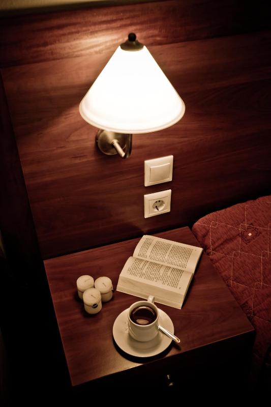 Double or Twin Room image 3