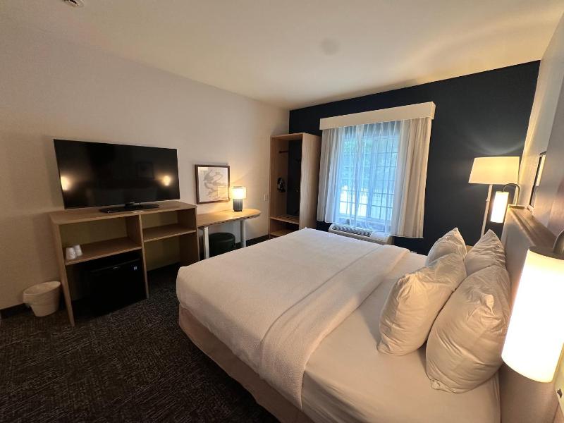 King Room with Roll-In Shower - Mobility Access image 1