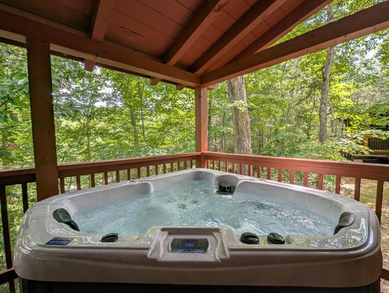 ER76 - Bear Tracks - Great location! Close to all the action! cabin - image 40