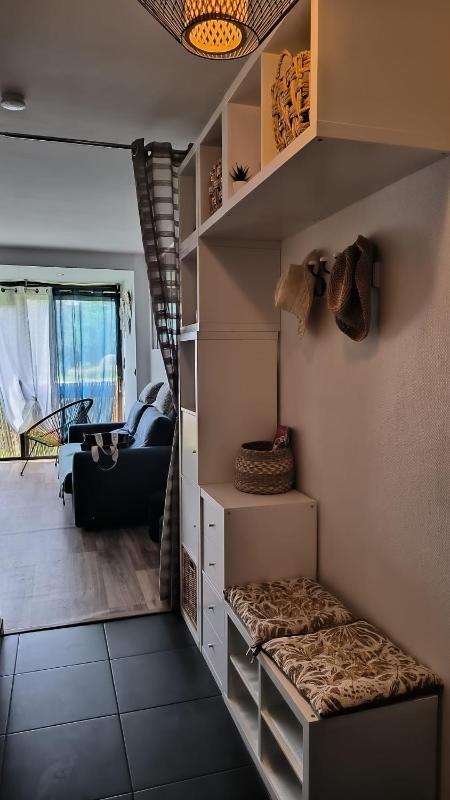 St Cyprien appartement lumineux proche plage - image 13
