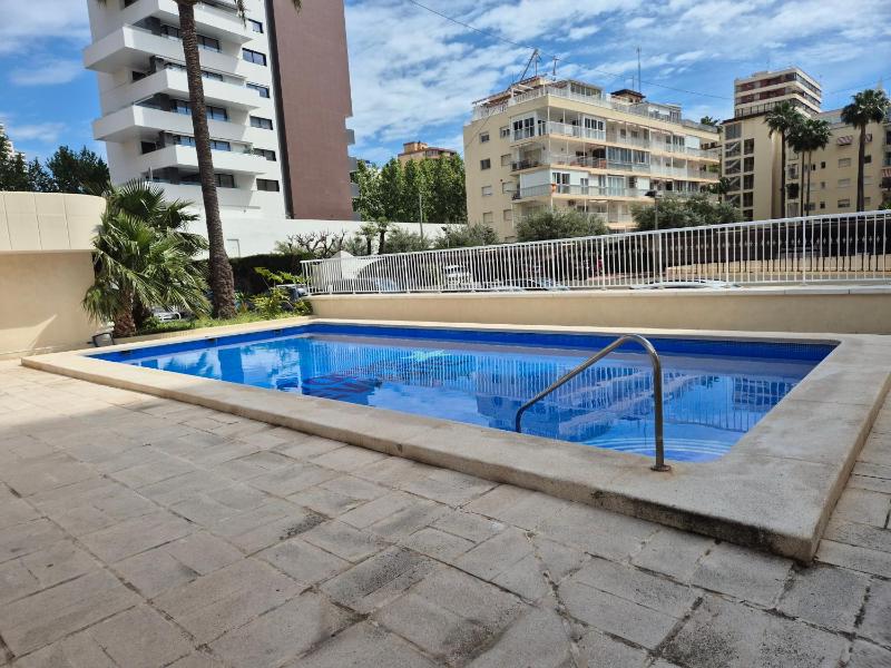 One-Bedroom Apartment (2 Adults) image 4