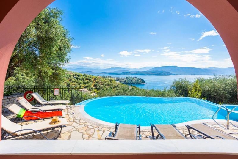 Bougainvillea - image 9