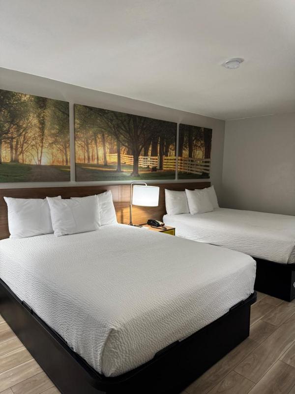 Queen Room with Two Queen Beds - Non-Smoking image 2