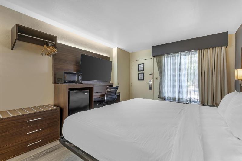 King Room - Pet Friendly/Non-Smoking image 2