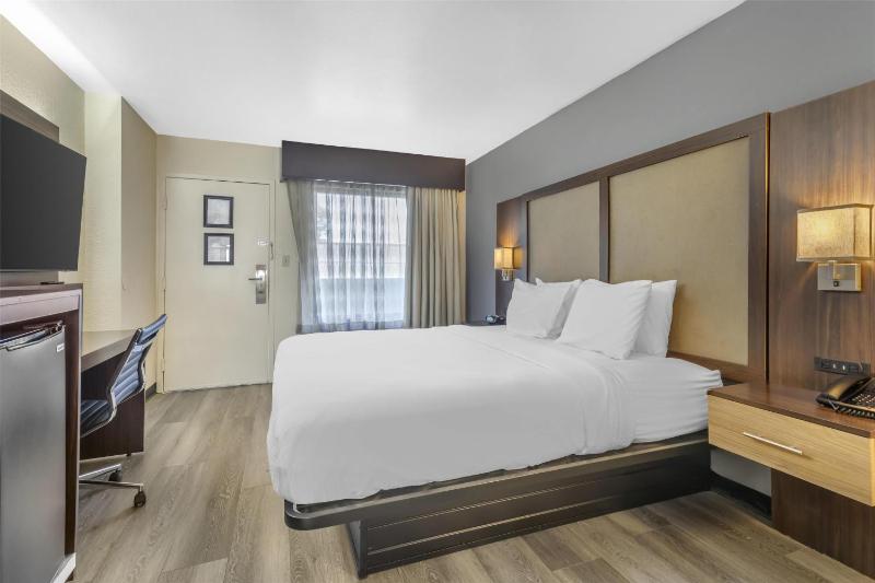 King Room - Non-Smoking image 2