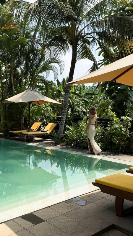 The Secret Guesthouse - image 16