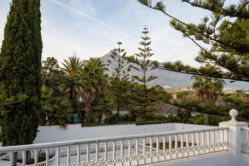 Palacio Suites Marbella - image 19