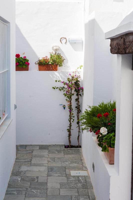 Alhanía Vejer - image 33