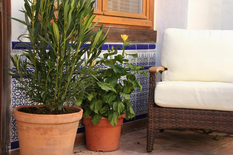 Double Room with Private Terrace image 2