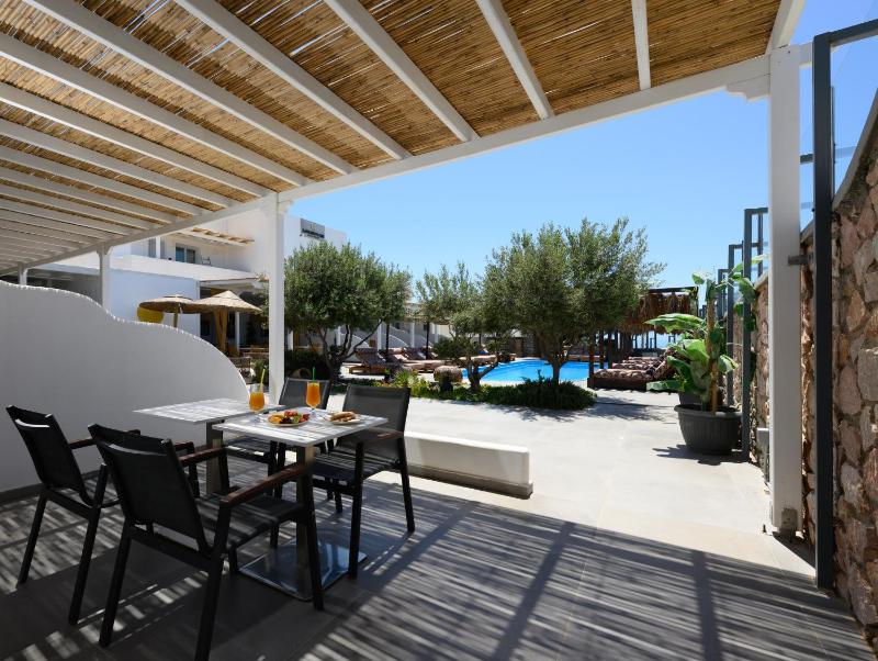Executive Double Room Pool Front image 2