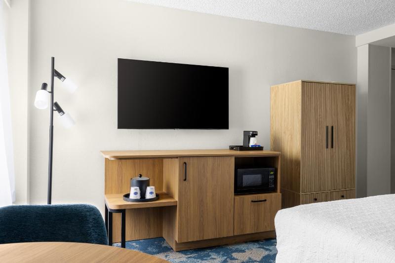 Larger Room, 1 King Bed & Sofa Bed image 3