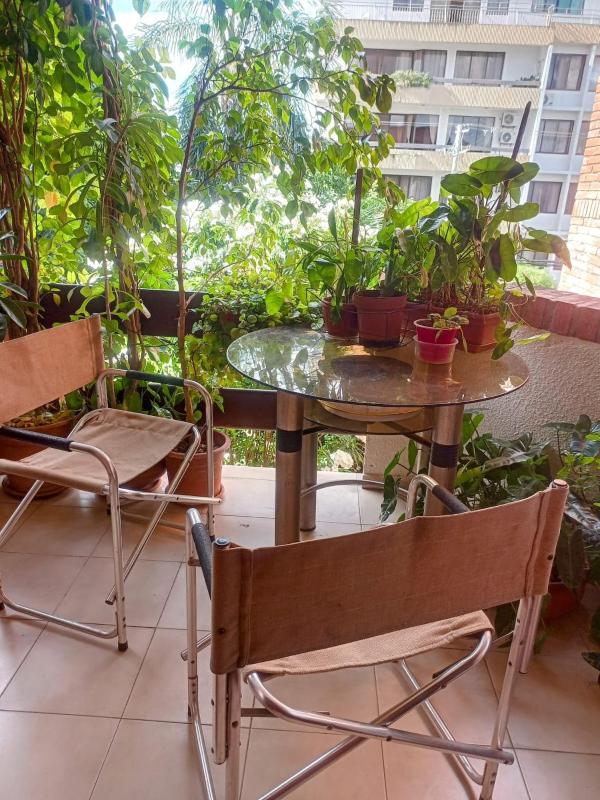 Green Garden & Balcon Cañada Strongest - image 15