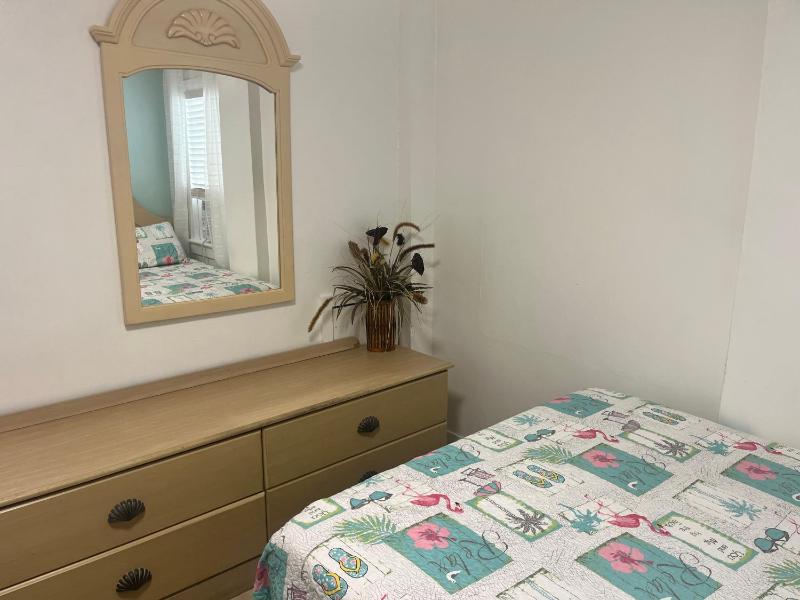 One-Bedroom Apartment image 4