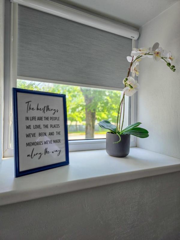 Studio Apartment image 3