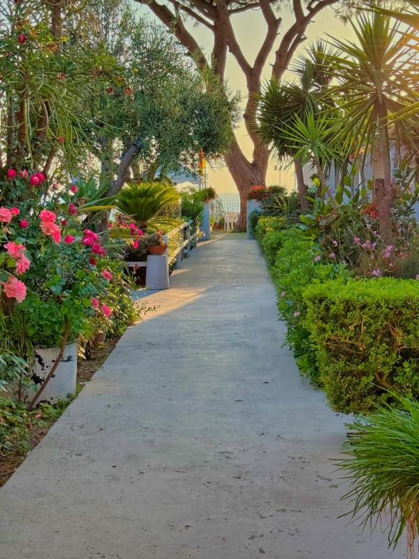 Hotel Villa Mena - image 27