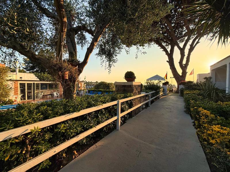 Hotel Villa Mena - image 34