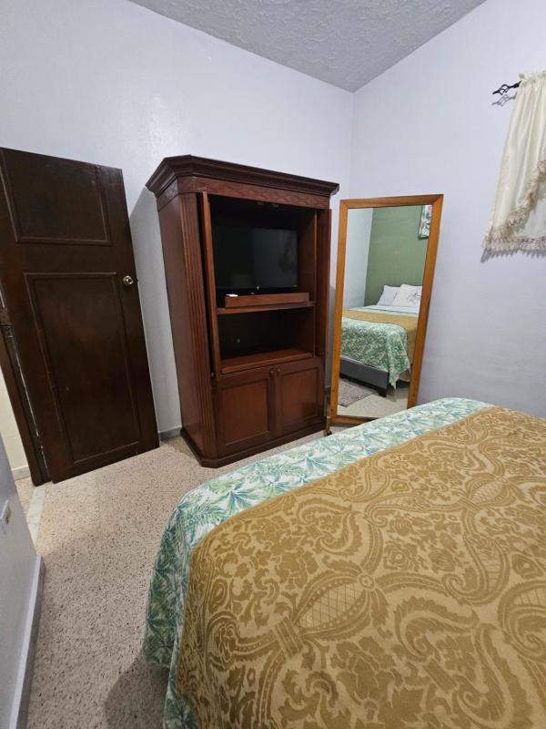 One-Bedroom Apartment image 3