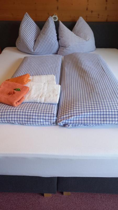 Two-Bedroom Apartment image 4