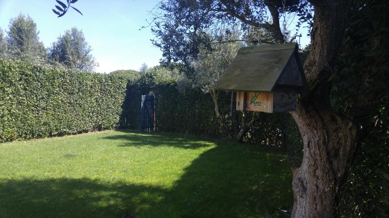 Family Suite with Garden View image 4