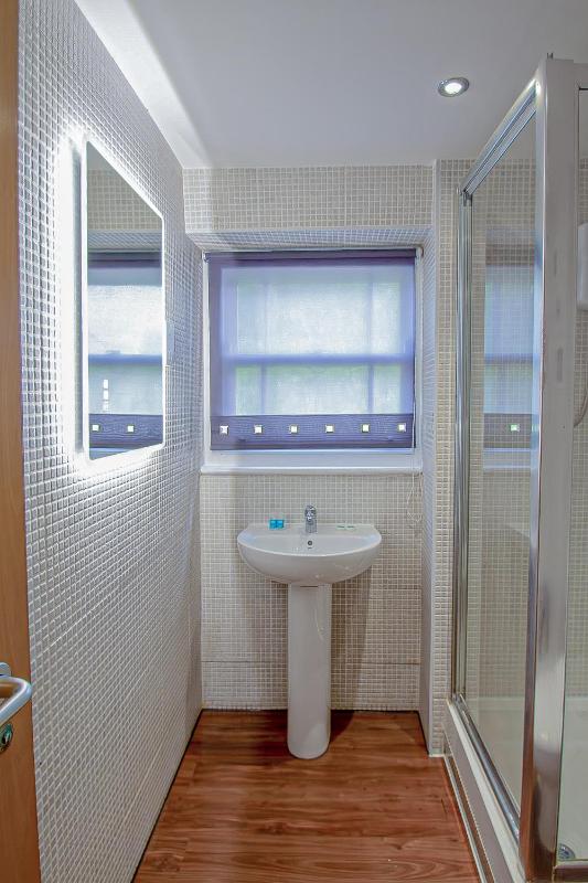 Studio Apartment image 3