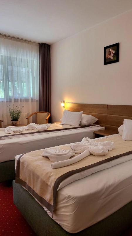 Standard Twin Room image 1