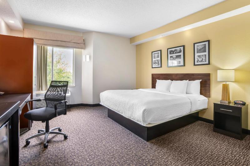 King Room - Non-Smoking image 3