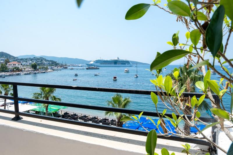 Double Room with Balcony and Sea View image 1