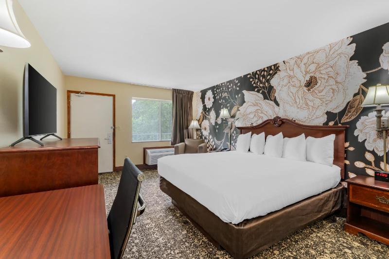 King Room - Disability Access/Non-Smoking image 3
