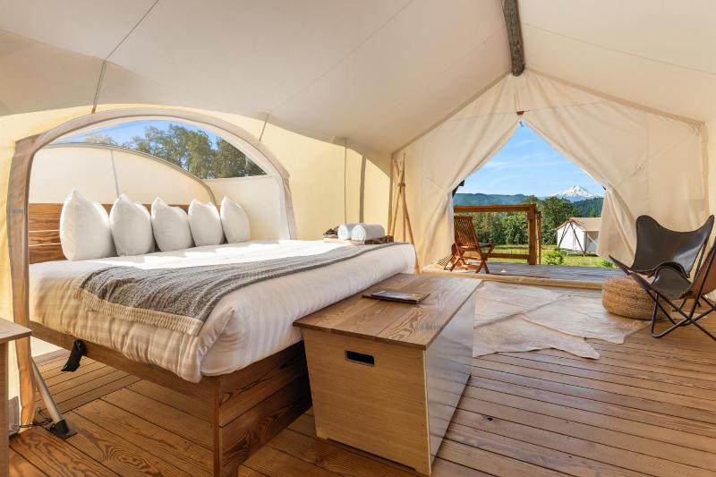 Stargazer Tent  image 1