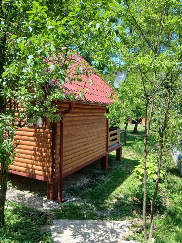 Pure Nature - image 6