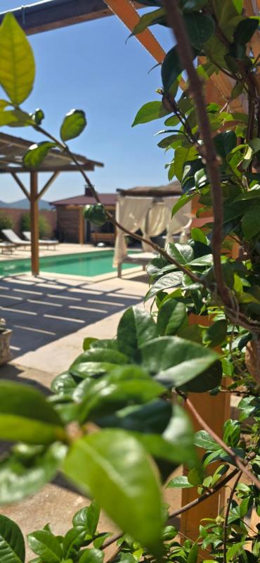 Villa Aqua Vista - image 3
