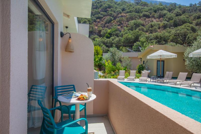 Deluxe Double or Twin Room with Pool Access image 1