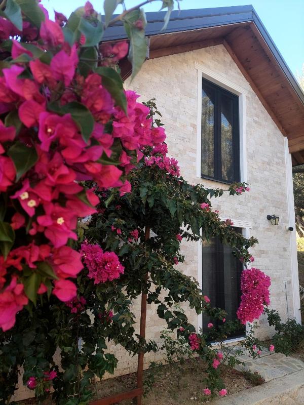 Villa Butterfly Valdanos - image 14