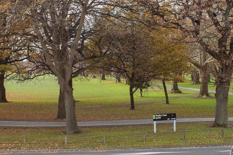 Brand New Opposite Hagley Park Close CBD Hospital - image 8