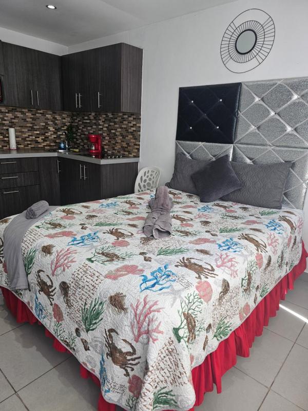 One-Bedroom Apartment image 2