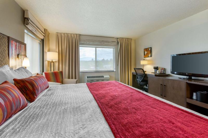King Room - Non-Smoking image 4